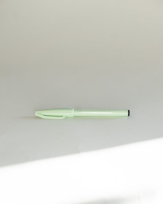 Craft Design Technology Brush Sign Pen — Individual