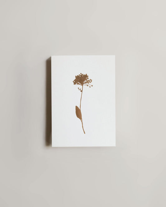 ola Foil Allium Card (Brass on Ivory)