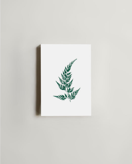 ola Foil Wood Fern Card (Green on Ivory)
