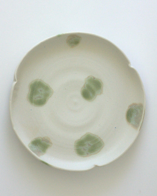 (H3) haneu haneu — lichen petaled dish