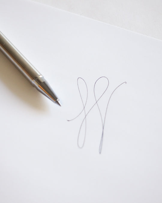 Platinum Stainless Steel Ballpoint Pen — Platinum, Japan, at SORT Vancouver
