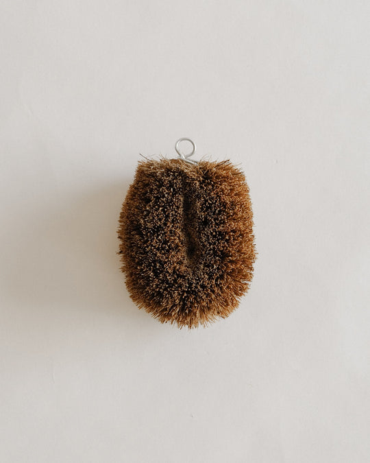 Kamenoko Tawashi Coconut Fiber Brush – Round — Kamenoko Tawashi, Japan, at SORT Vancouver