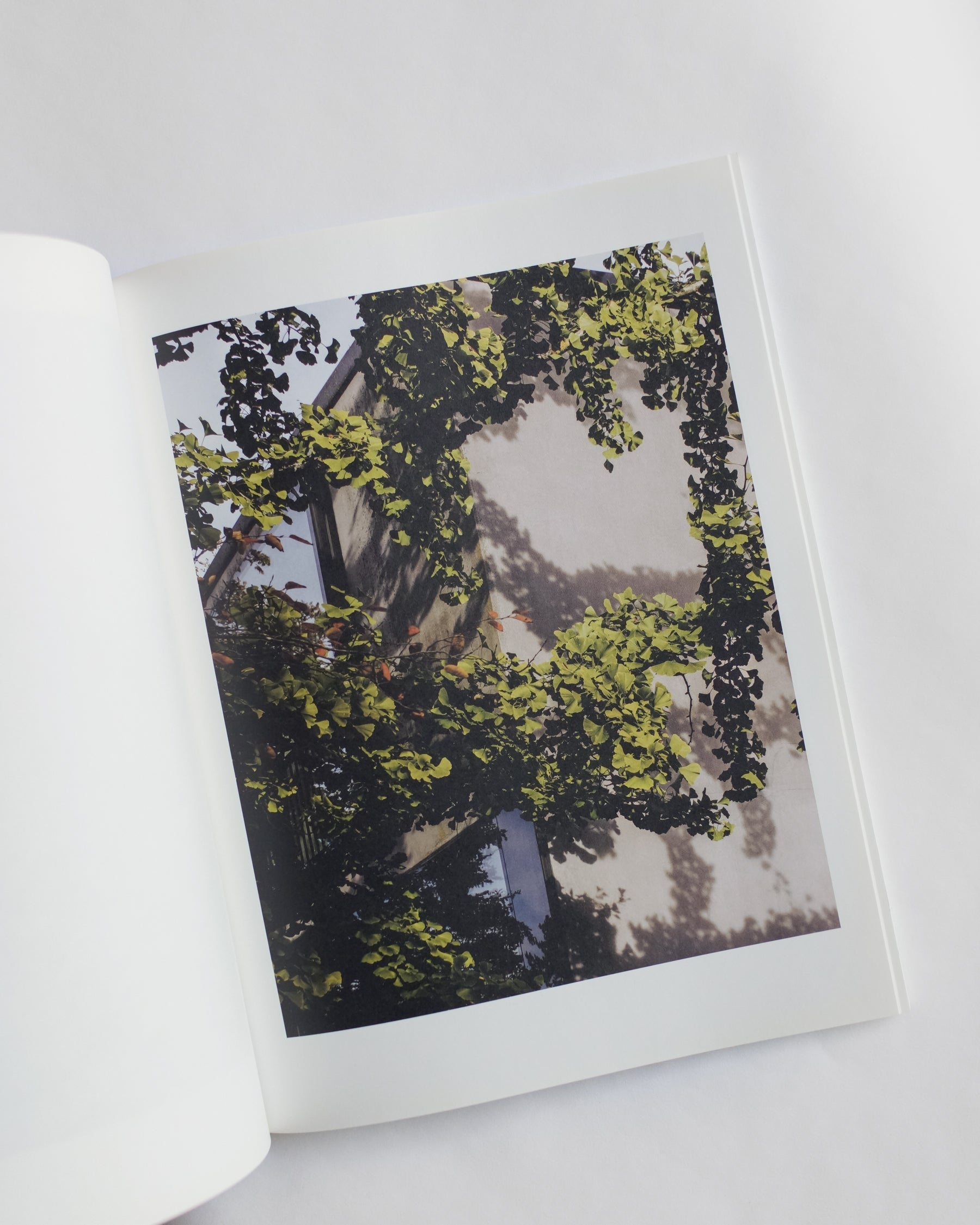 Koechlin House by Daisuke Hirabayashi — book at SORT Vancouver