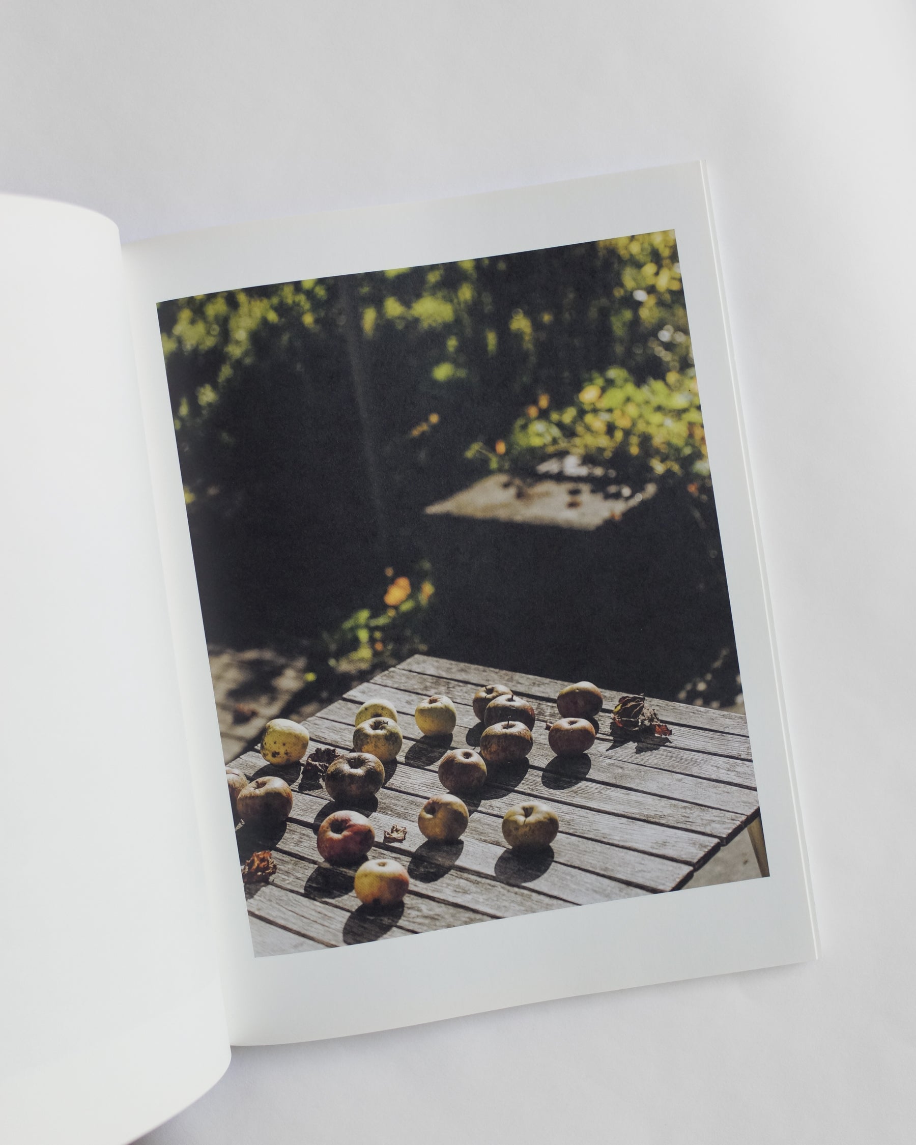 Koechlin House by Daisuke Hirabayashi — book at SORT Vancouver