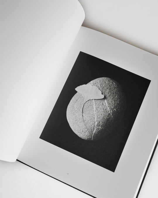 Collection I : Penumbra by Rich Stapleton (Published by Libraryman) — book at SORT Vancouver