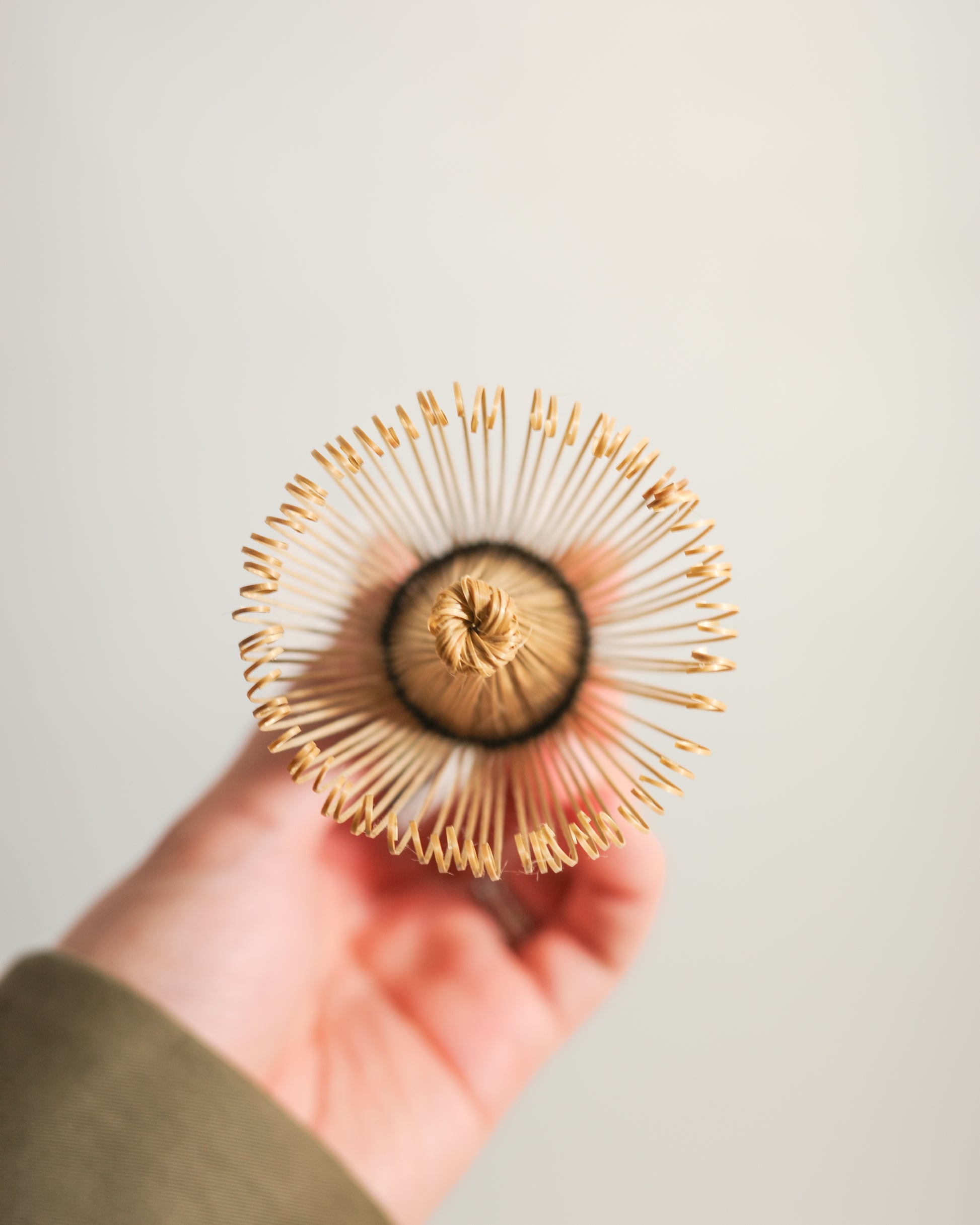 Japanese Bamboo Matcha Whisk (Chasen) 百本立 — 100 Bristle view 2 — Cesa Beams, Japan, at SORT Vancouver