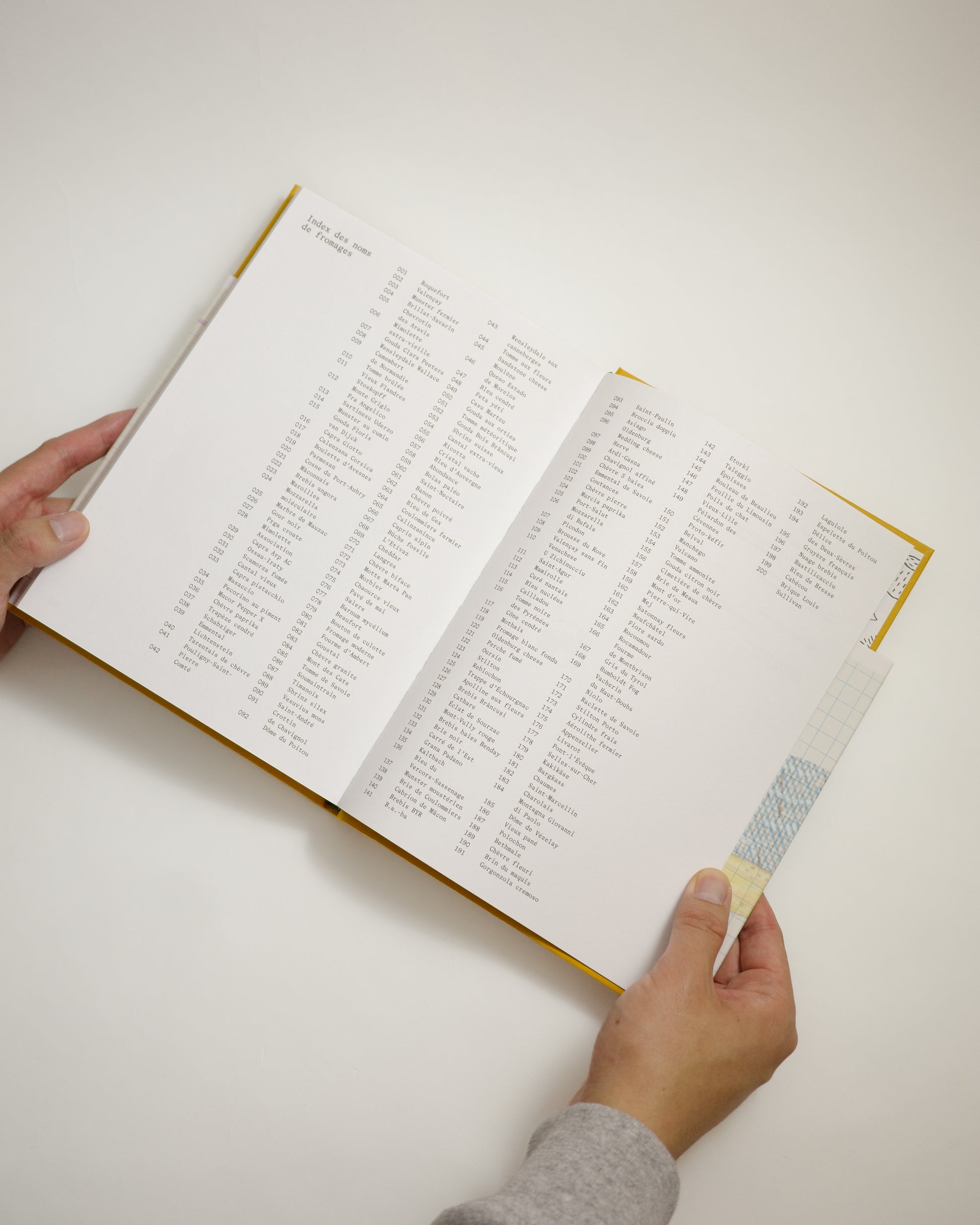 Fromages | Cheese by Jochen Gerner — additional view at SORT, a design and book store in Vancouver
