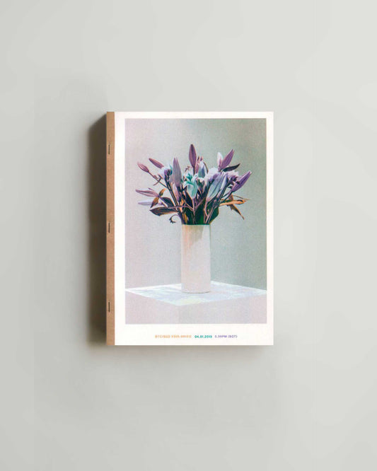 Xavier Antin – Vanishing Workflows