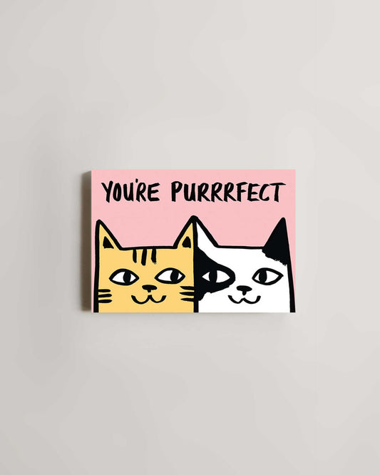 You're Purrrfect Card