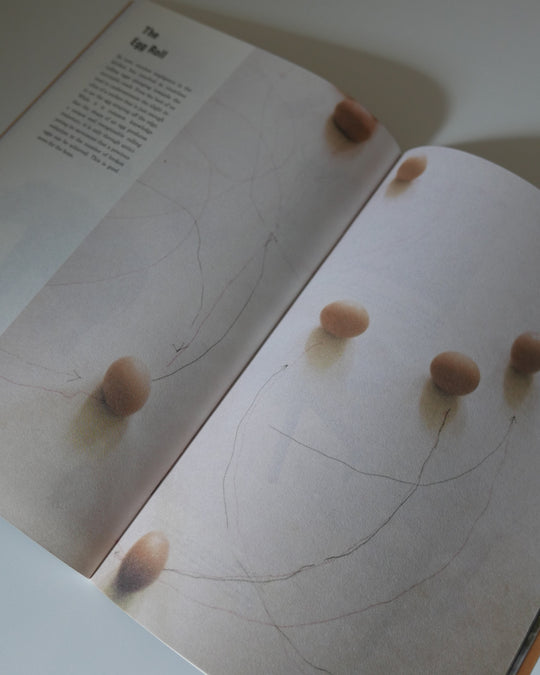 Science of the Secondary 7: Egg — risograph zine at SORT Vancouver