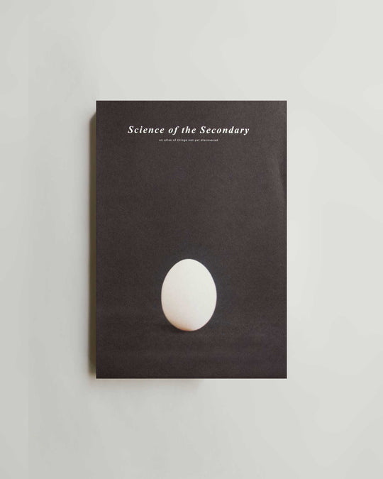 Science of the Secondary 7: Egg — risograph zine at SORT Vancouver